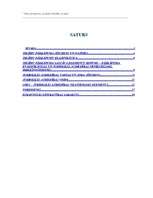 Referāts 'Tiesu pārkāpums, jurisdiskā atbildība, sods', 1.