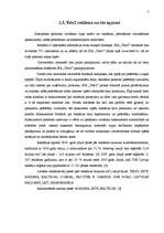 Referāts 'SIA "Tele2" tirgus izpēte produktam - mobilo sakaru pakalpojumi', 9.