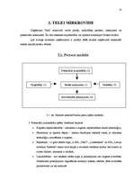 Referāts 'SIA "Tele2" tirgus izpēte produktam - mobilo sakaru pakalpojumi', 12.