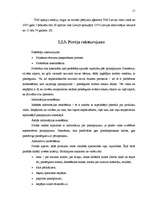 Referāts 'SIA "Tele2" tirgus izpēte produktam - mobilo sakaru pakalpojumi', 17.