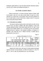 Referāts 'SIA "Tele2" tirgus izpēte produktam - mobilo sakaru pakalpojumi', 26.