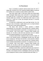 Referāts 'SIA "Tele2" tirgus izpēte produktam - mobilo sakaru pakalpojumi', 28.