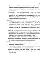 Referāts 'SIA "Tele2" tirgus izpēte produktam - mobilo sakaru pakalpojumi', 32.