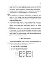 Referāts 'SIA "Tele2" tirgus izpēte produktam - mobilo sakaru pakalpojumi', 33.