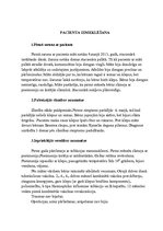 Prakses atskaite 'Aprūpes plāns bērnam ar bronhītu', 3.