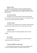 Prakses atskaite 'Aprūpes plāns bērnam ar bronhītu', 5.