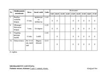 Prakses atskaite 'Aprūpes plāns bērnam ar bronhītu', 10.