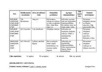 Prakses atskaite 'Aprūpes plāns bērnam ar bronhītu', 11.