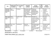 Prakses atskaite 'Aprūpes plāns bērnam ar bronhītu', 12.