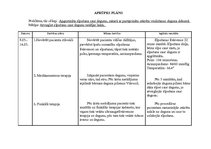 Prakses atskaite 'Aprūpes plāns bērnam ar bronhītu', 17.