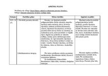 Prakses atskaite 'Aprūpes plāns bērnam ar bronhītu', 18.