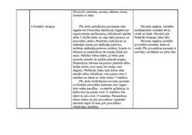 Prakses atskaite 'Aprūpes plāns bērnam ar bronhītu', 19.