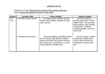 Prakses atskaite 'Aprūpes plāns bērnam ar bronhītu', 20.