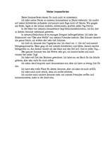 Eseja 'Meine Sommerferien', 1.