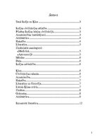 Referāts 'Senā Indija un Ķīna', 2.