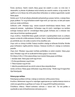 Konspekts 'Kvalitatīvās pētniecības metodes', 4.