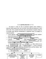 Diplomdarbs 'Augstākās izglītības kvalitātes novērtēšana Latvijā', 26.