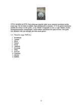 Referāts 'Telpaugu nozīme viesmīlības atmosfēras radīšanā', 13.