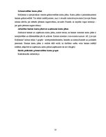 Prakses atskaite 'Akciju sabiedrība "Latvijas Krājbanka"', 20.