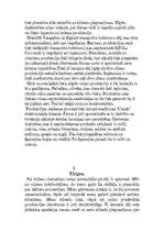 Biznesa plāns 'SIA “Kārumnieks”', 9.