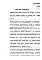 Referāts 'A.Kamī darba "Svešinieks" analīze', 1.