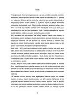 Diplomdarbs 'Militāro konfliku raksturs jaunajā pasaules kārtībā', 5.