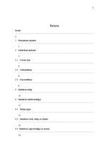 Referāts 'Radošais plāns SIA "Lāči"', 2.