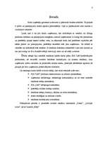 Referāts 'Radošais plāns SIA "Lāči"', 4.