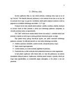 Referāts 'Radošais plāns SIA "Lāči"', 8.