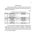 Referāts 'Radošais plāns SIA "Lāči"', 9.