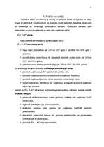 Referāts 'Radošais plāns SIA "Lāči"', 11.