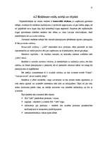 Referāts 'Radošais plāns SIA "Lāči"', 13.