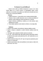 Referāts 'Radošais plāns SIA "Lāči"', 19.