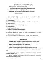 Konspekts 'Lietvedība', 6.