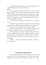 Konspekts 'Bērnu akūtas kuņģa-zarnu trakta infekcijas', 5.