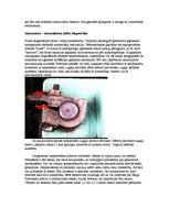 Konspekts 'Ģeneratora izjaukšana, defektēšana, montāža', 4.