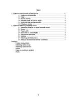 Prakses atskaite 'Uzņēmuma mārketinga apraksts', 1.