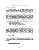 Prakses atskaite 'Uzņēmuma mārketinga apraksts', 2.