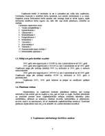 Prakses atskaite 'Uzņēmuma mārketinga apraksts', 3.