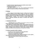 Prakses atskaite 'Uzņēmuma mārketinga apraksts', 6.