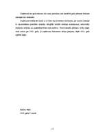 Prakses atskaite 'Uzņēmuma mārketinga apraksts', 11.