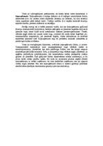 Konspekts 'Valdību un starptautisko kompāniju attiecības', 5.