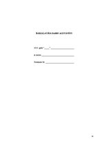 Diplomdarbs 'Baltijas valstu drošības politika pēc 2004.gada', 74.