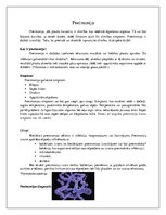 Konspekts 'Pneimonija', 1.