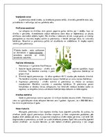 Konspekts 'Pneimonija', 3.