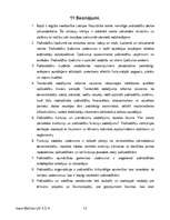 Referāts 'Vietējo pašvaldību reformas tiesiskie aspekti Latvijā', 12.