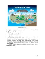 Referāts 'Skābais lietus, tā veidošanās un radītās sekas', 5.