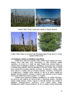 Referāts 'Skābais lietus, tā veidošanās un radītās sekas', 13.