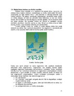 Referāts 'Skābais lietus, tā veidošanās un radītās sekas', 15.