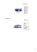 Referāts 'Tūrisms un tā iespējas Latvijas iedzīvotājiem', 27.